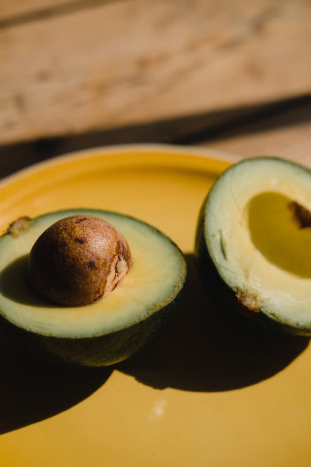 Quastonveria processus